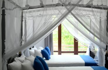 FB_IMG_1753673982463