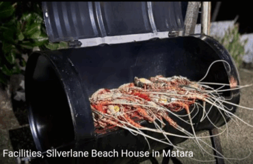 Screenshot_20250725-125748_1