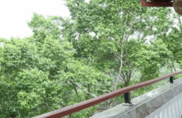 Screenshot_20250727-210559_1-1