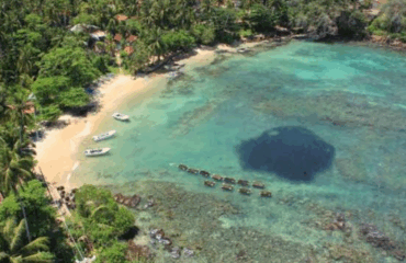 Screenshot_20250729-075243_1