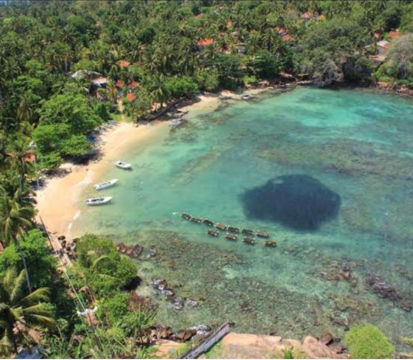 Screenshot_20250729-075243_1