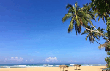 Screenshot_20251021-144000_1