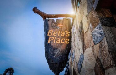 q2222222222222222222